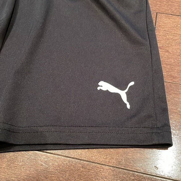 Puma Dry Fit Shorts - Picture 2 of 6